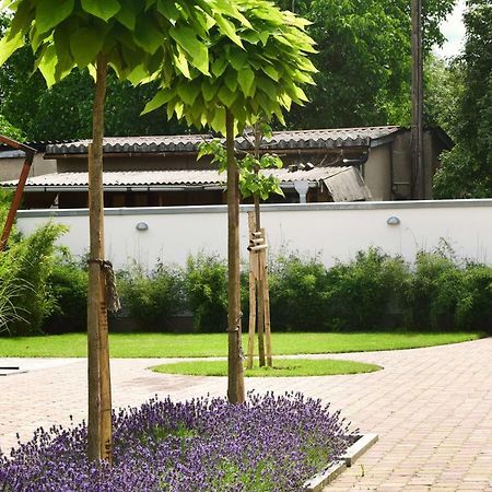 Villa Veda Zehdenick Eksteriør billede
